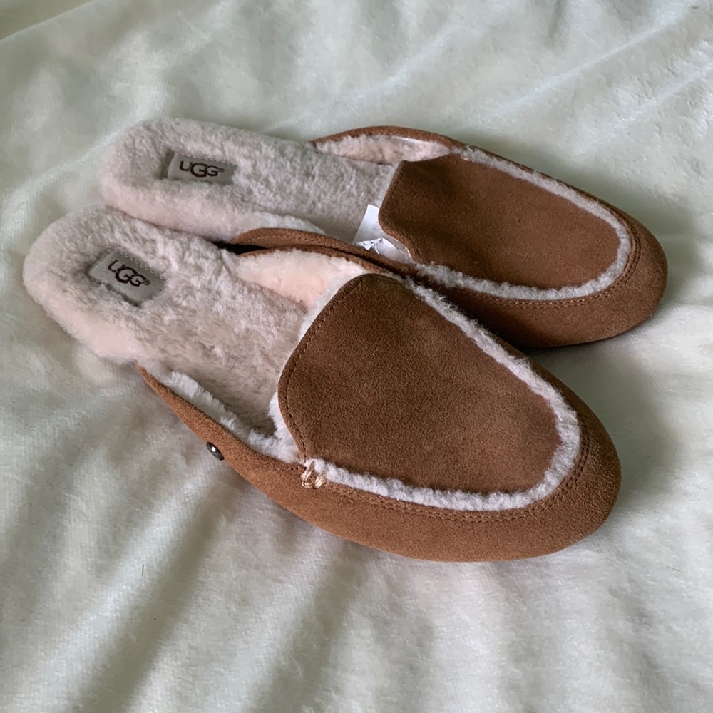 COPY - Ugg Chestnut 8 Slippers